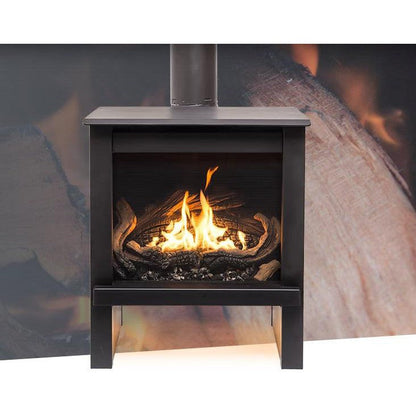 True North TN24 25" Black Direct Vent Free Standing Gas Stove