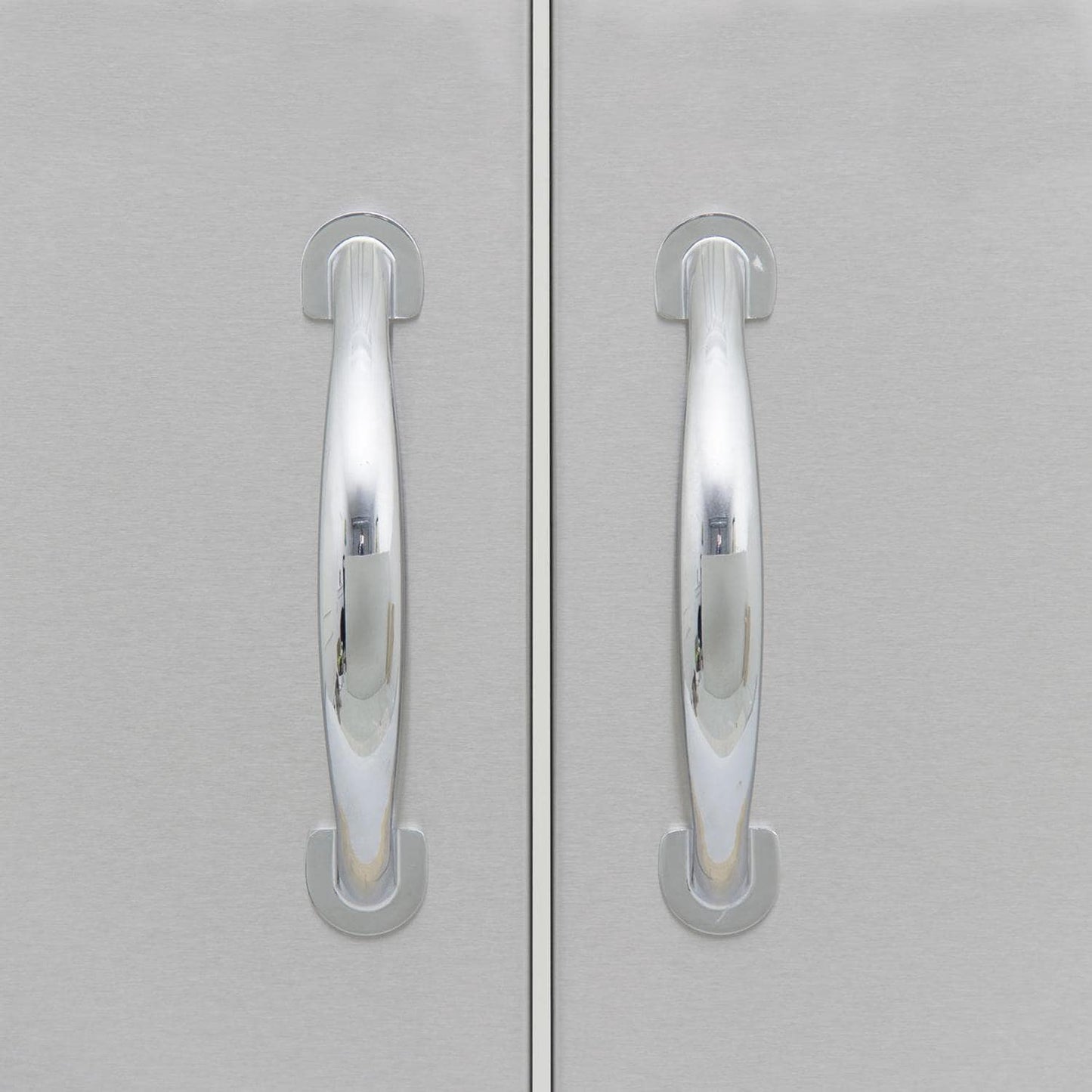 Blaze 32-Inch Stainless Steel Double Access Door With Paper Towel Holder (BLZ-AD32-R)