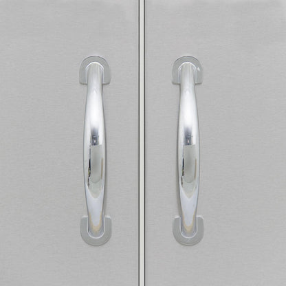 Blaze 32-Inch Stainless Steel Double Access Door With Paper Towel Holder (BLZ-AD32-R)
