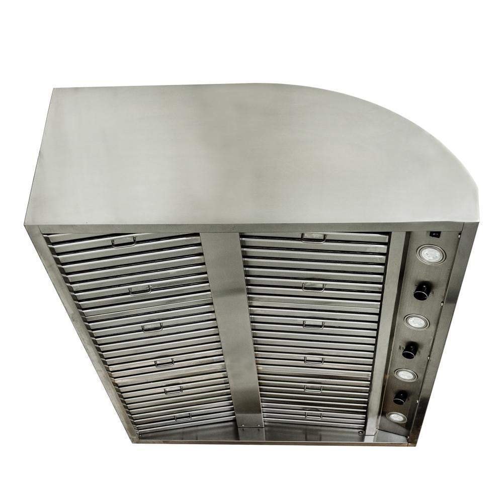 Blaze 42-Inch Stainless Steel Outdoor Vent Hood - 2000 CFM (BLZ-42-VHOOD)
