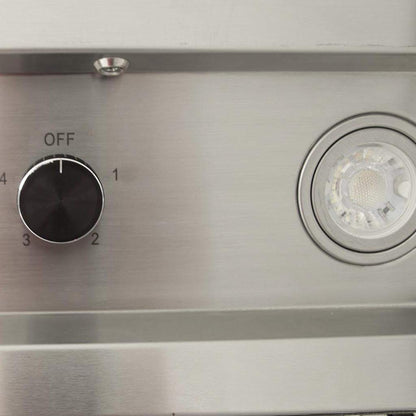 Blaze 42-Inch Stainless Steel Outdoor Vent Hood - 2000 CFM (BLZ-42-VHOOD)