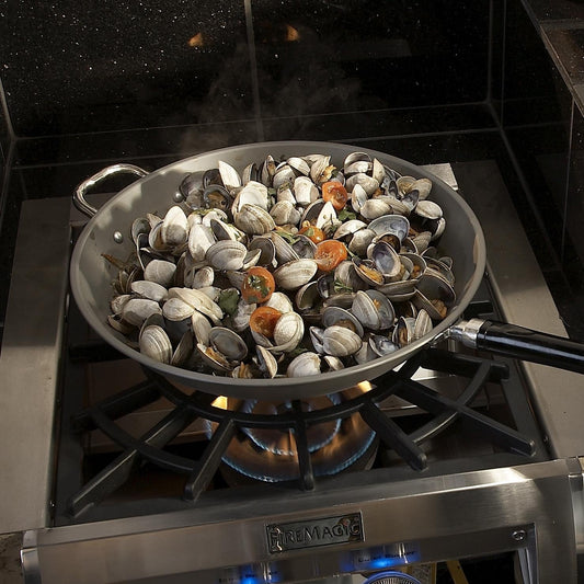 Fire Magic Echelon Diamond Built-In Propane Gas Power Burner with Porcelain Coated Cast Iron Grid (19-5B2P-0)