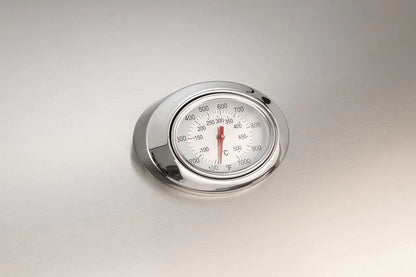 Fire Magic Aurora A430i 24" Natural Gas Built-In Grill with 1 Sear Burner and Analog Thermometer (A430I-7LAN)