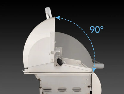 Fire Magic Aurora A830s 46" Propane Gas and Charcoal Freestanding Dual Grill with Backburner, Rotisserie Kit and Analog Thermometer (A830S-8EAP-61-CB)
