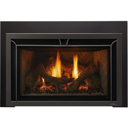 Heat & Glo Supreme Gas Insert