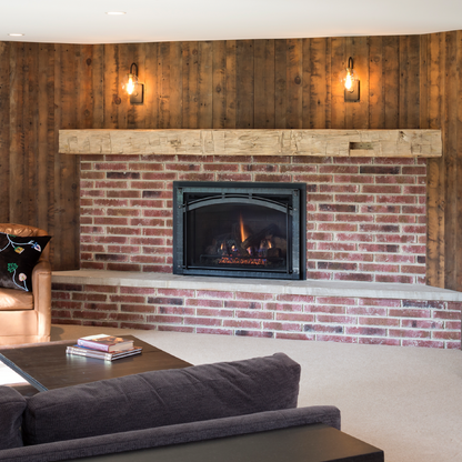 Heat & Glo Escape Gas Insert