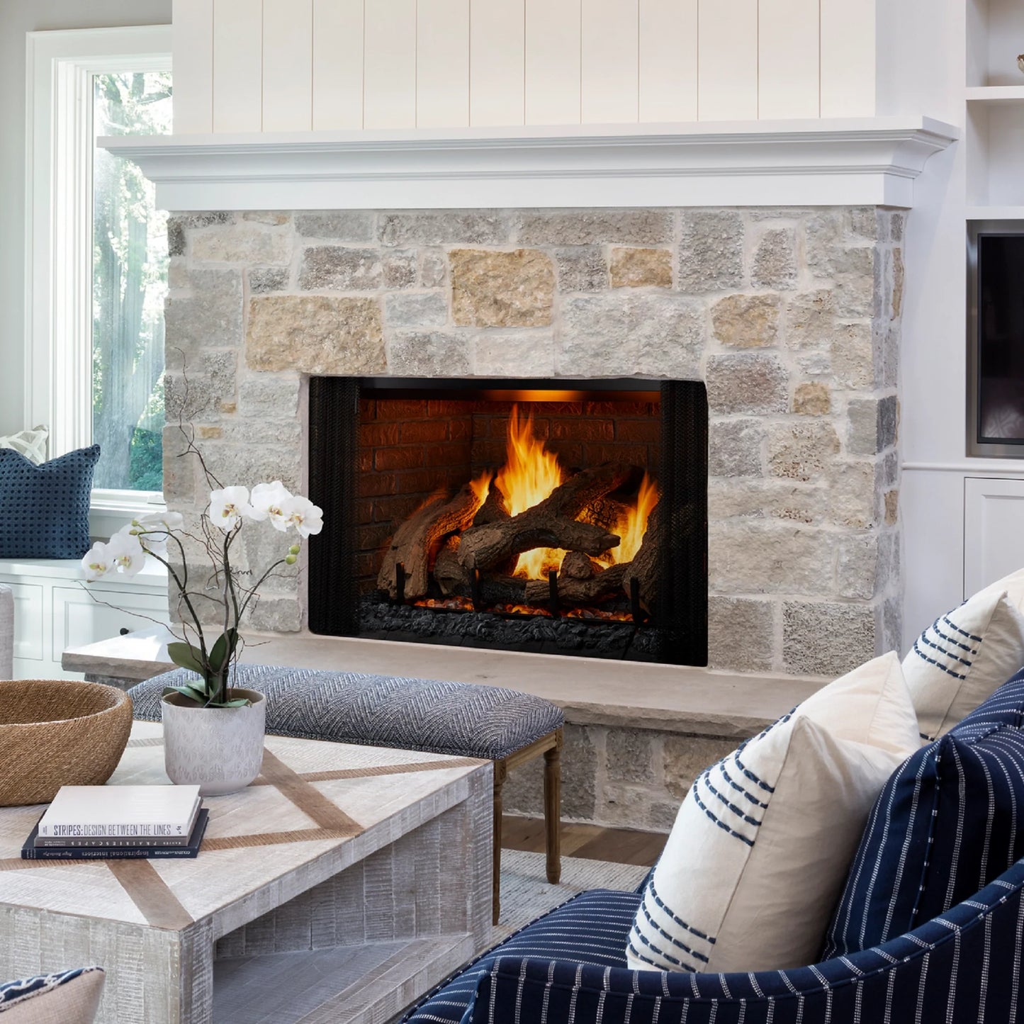 Heat & Glo Phoenix TrueView Gas Fireplace