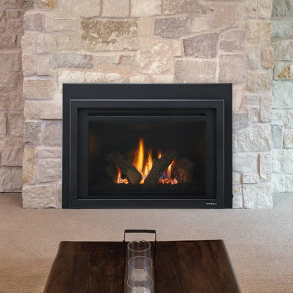 Heat & Glo Provident Gas Insert