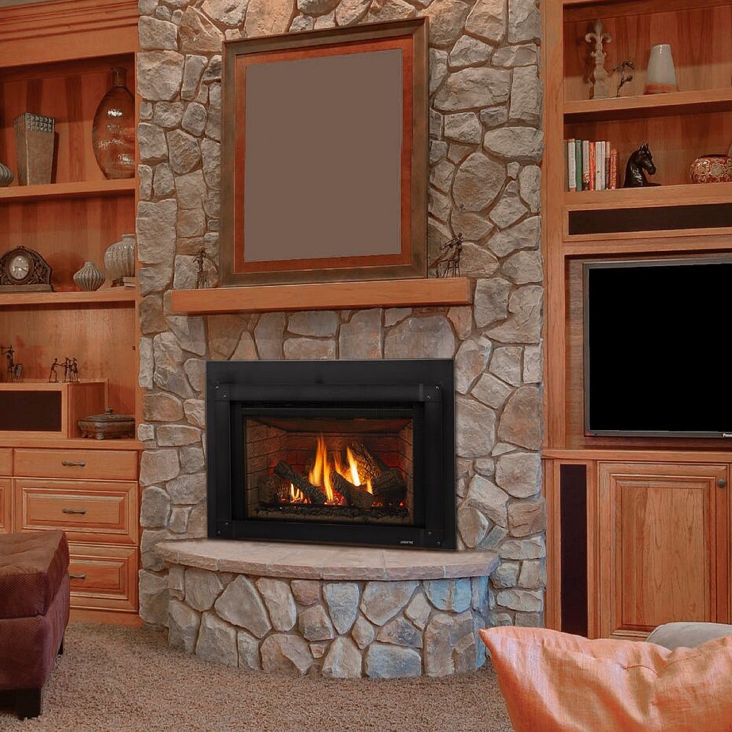 Quadra-Fire Excursion Gas Insert
