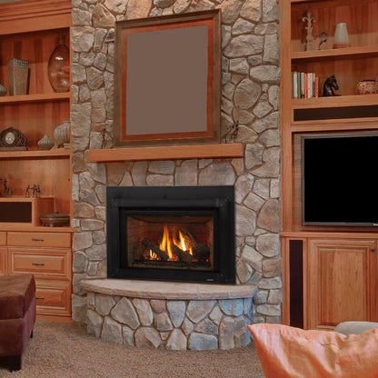 Quadra-Fire Excursion Gas Insert