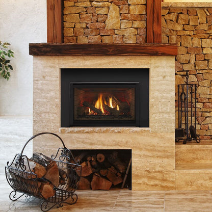 Quadra-Fire Excursion Gas Insert