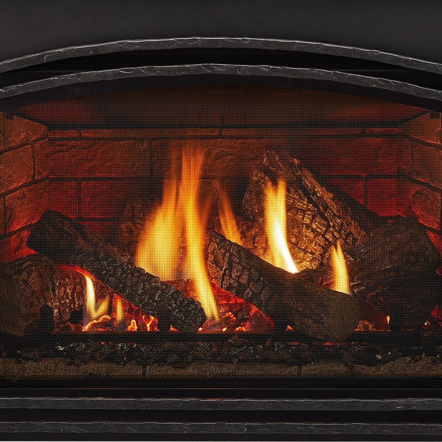 Quadra-Fire Excursion Gas Insert