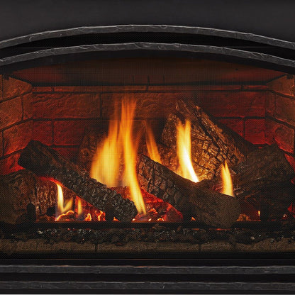 Quadra-Fire Excursion Gas Insert
