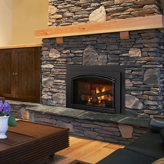 Quadra-Fire QFI FB Gas Insert
