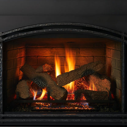Quadra-Fire QFI FB Gas Insert