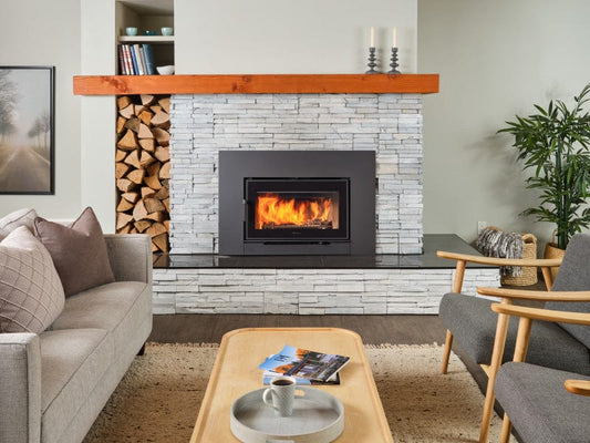 Regency Alterra Pro i3000 Wood Fireplace Insert (Contemporary)