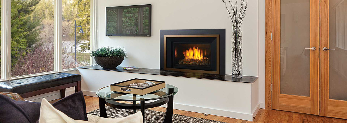 Regency Horizon HRI6E Gas Insert