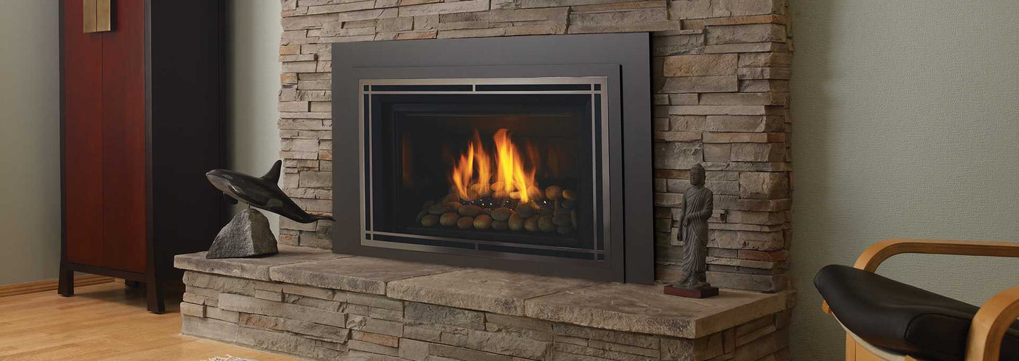 Regency Horizon HRI6E Gas Insert