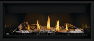Napoleon 46" Ascent Premium Linear Gas Fireplace - BLP46NTE