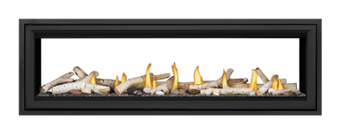 Napoleon Vector 62" See Thru Direct Vent Gas Fireplace - NG
