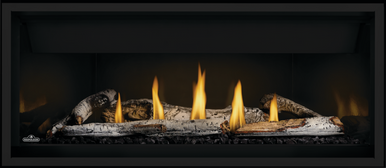 Napoleon 42" Ascent Premium Linear Gas Fireplace - BLP42NTE