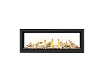 Napoleon Vector 50" See Thru Direct Vent Gas Fireplace - NG