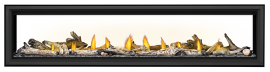 Napoleon Vector 74" See Thru Direct Vent Gas Fireplace - NG