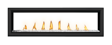 Napoleon Vector 62" See Thru Direct Vent Gas Fireplace - NG