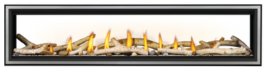 Napoleon Vector 74" See Thru Direct Vent Gas Fireplace - NG