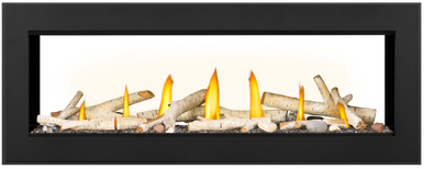 Napoleon Vector 50" See Thru Direct Vent Gas Fireplace - NG