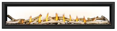 Napoleon Vector 74" See Thru Direct Vent Gas Fireplace - NG