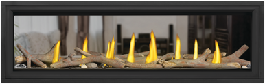 Napoleon Vector 62" See Thru Direct Vent Gas Fireplace - NG