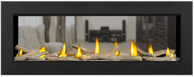 Napoleon Vector 50" See Thru Direct Vent Gas Fireplace - NG