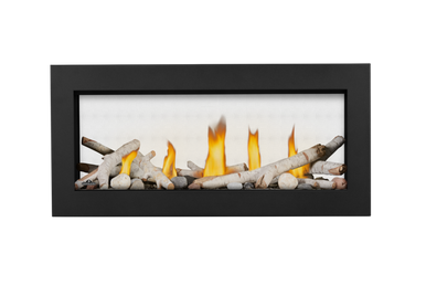 Napoleon Vector 38" See Thru Direct Vent Gas Fireplace - NG
